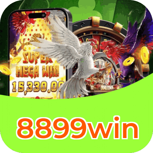 Programa VIP 8899win